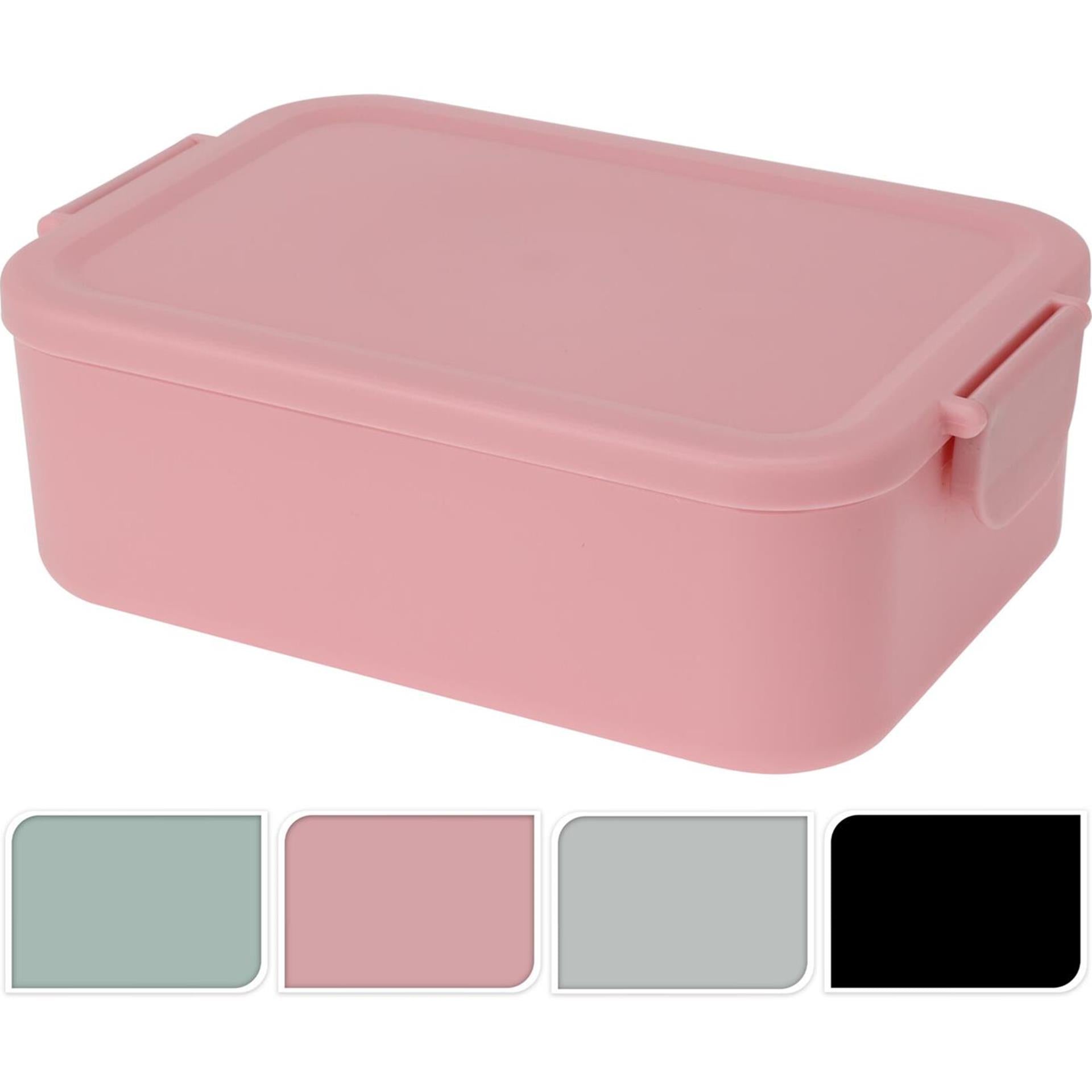 Lunchbox kunststof met clips 20x14x7cm