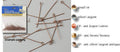 Darice • kettelstift 3cm 144mm copper