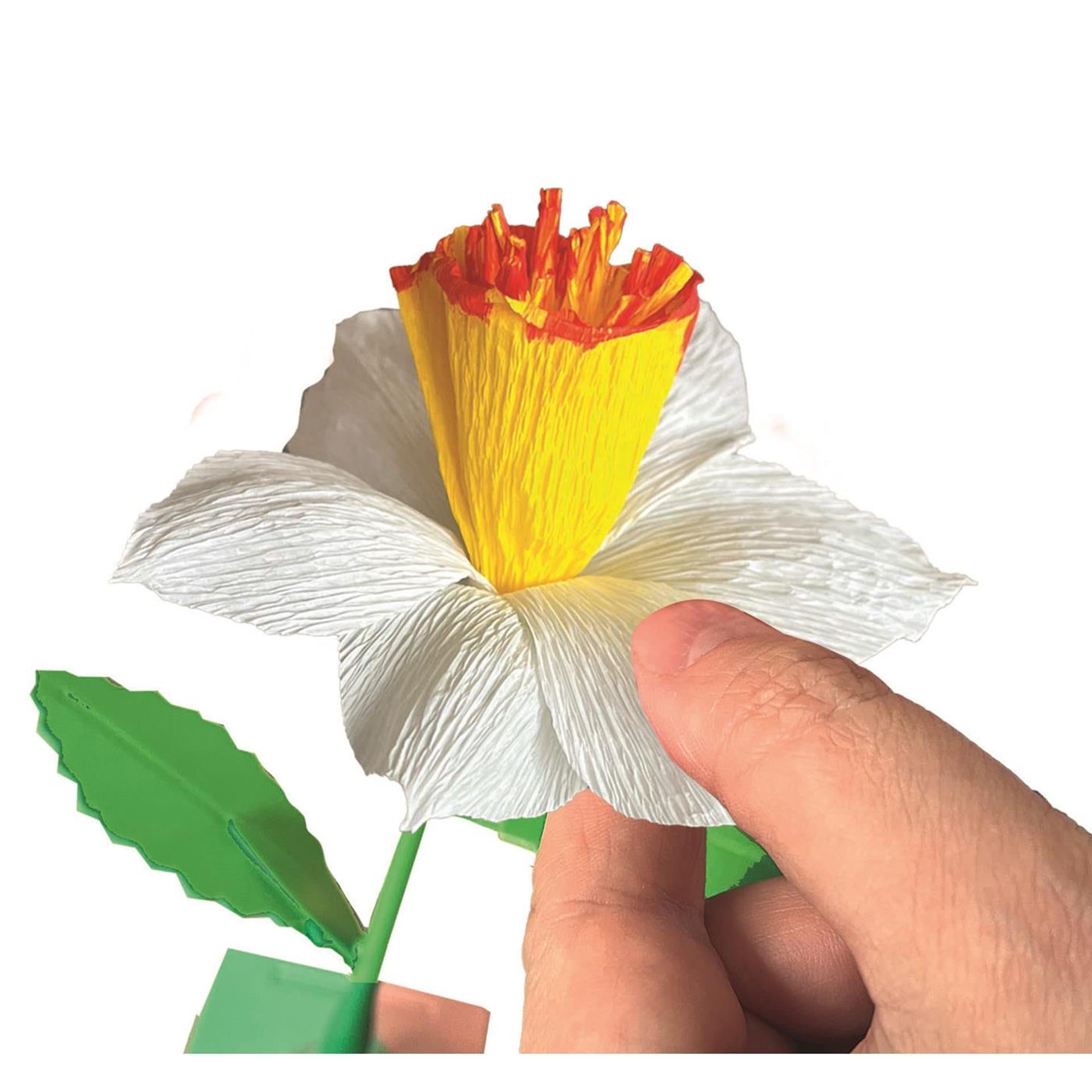 Clementoni create your flowers - narcis