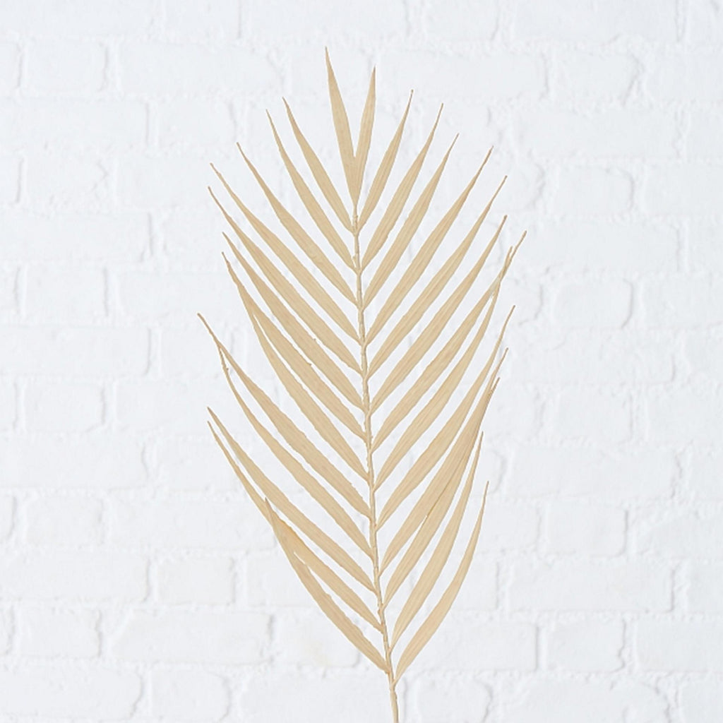 Boltze home kunsttak decotak 90cm palmblad naturel
