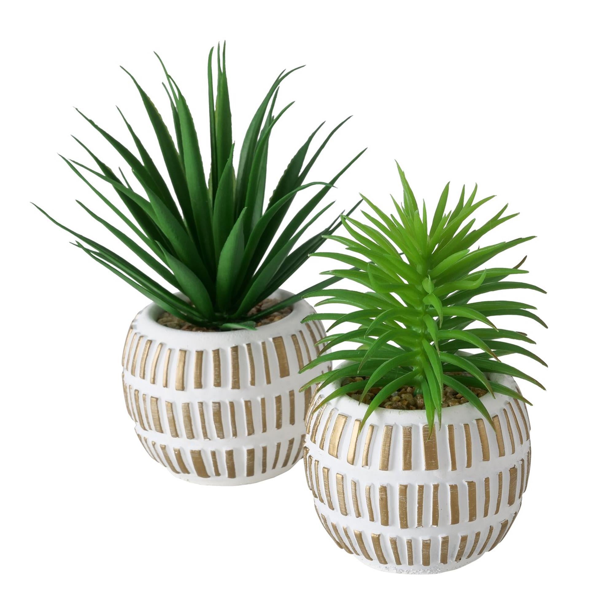 Boltze home kunstplant vetplant kunststof 9x9x13,3cm 2 assorti