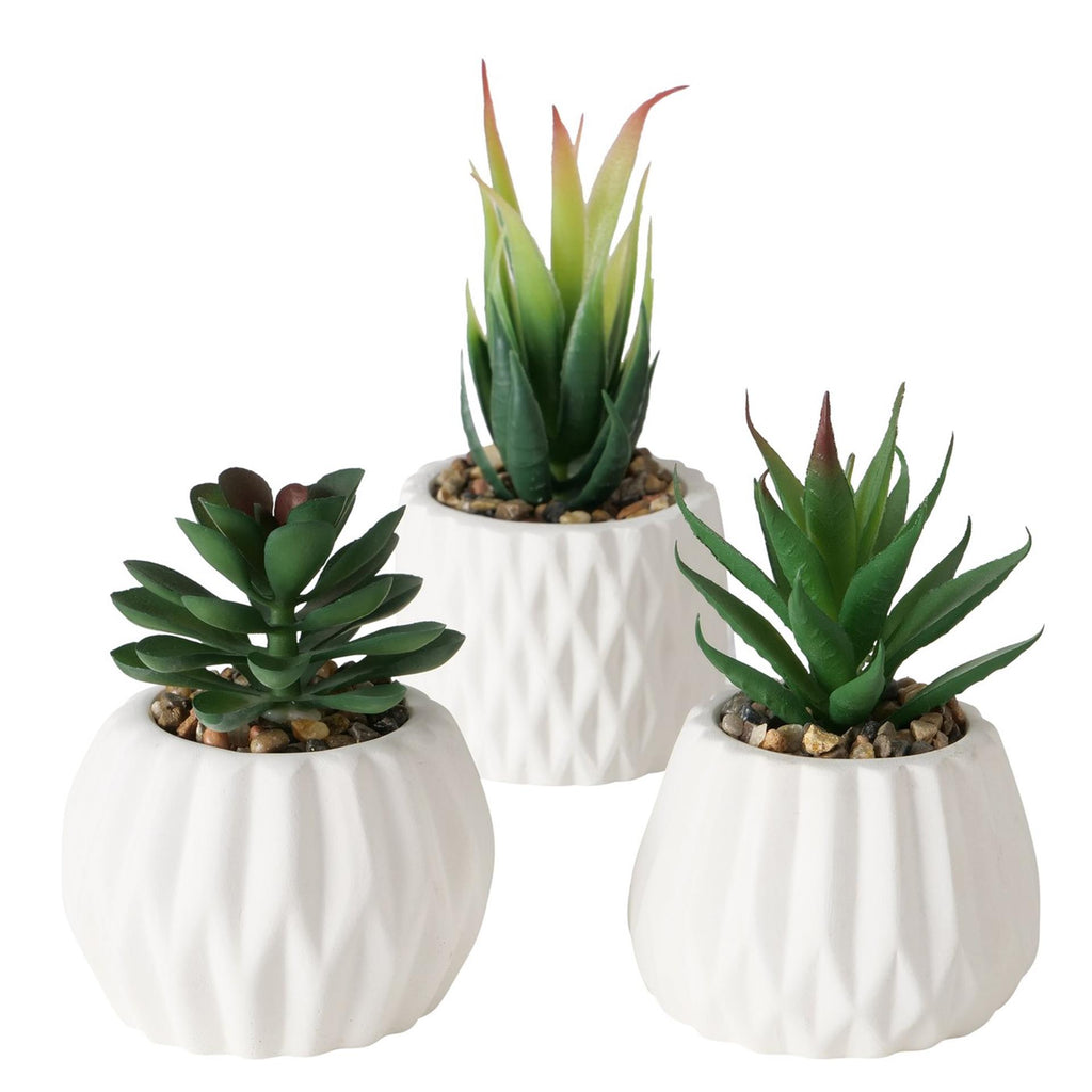 Boltze home kunstplant vetplant in pot wit h15cm