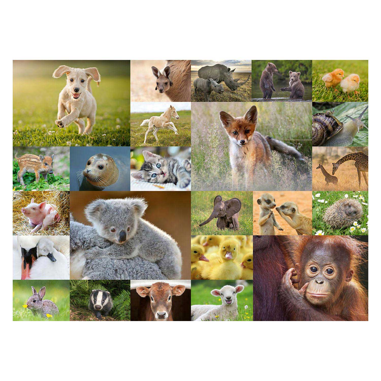 Ravensburger Puzzle „Niedliche Babytiere“, 200 Teile, XXL