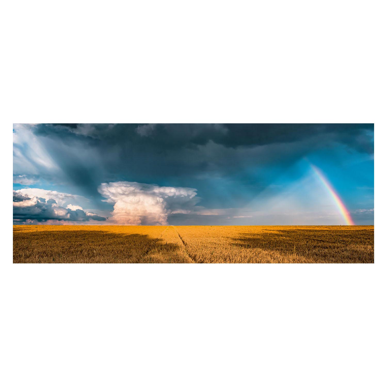 Ravensburger Puzzle Mystischer Regenbogen, 1000 Teile.