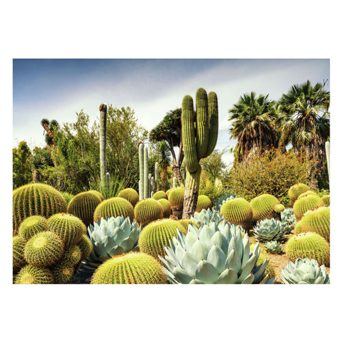 Ravensburger Legpuzzel Huntington Desert Garden, 1000.