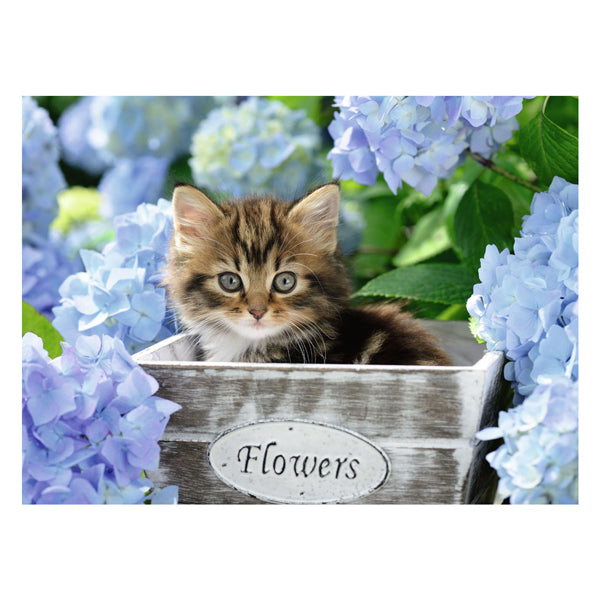 Ravensburger Puzzle XXL „Kleine Katze“, 300 Teile.