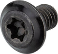 Cane creek lever screw