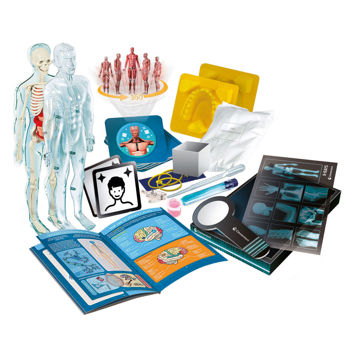 Clementoni Wissenschaft und Spiel – Superanatomie