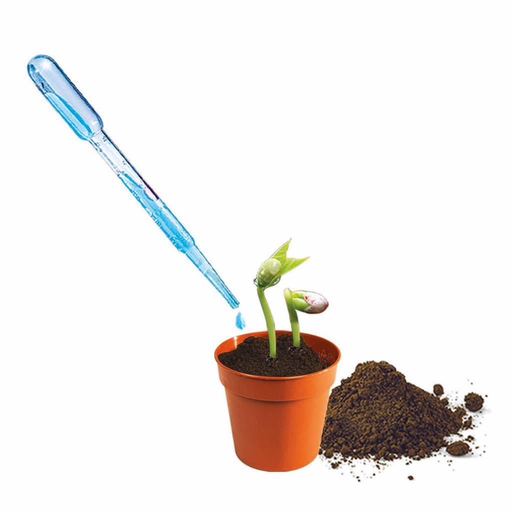 Clementoni Science and Play – Mini-Gemüsegarten