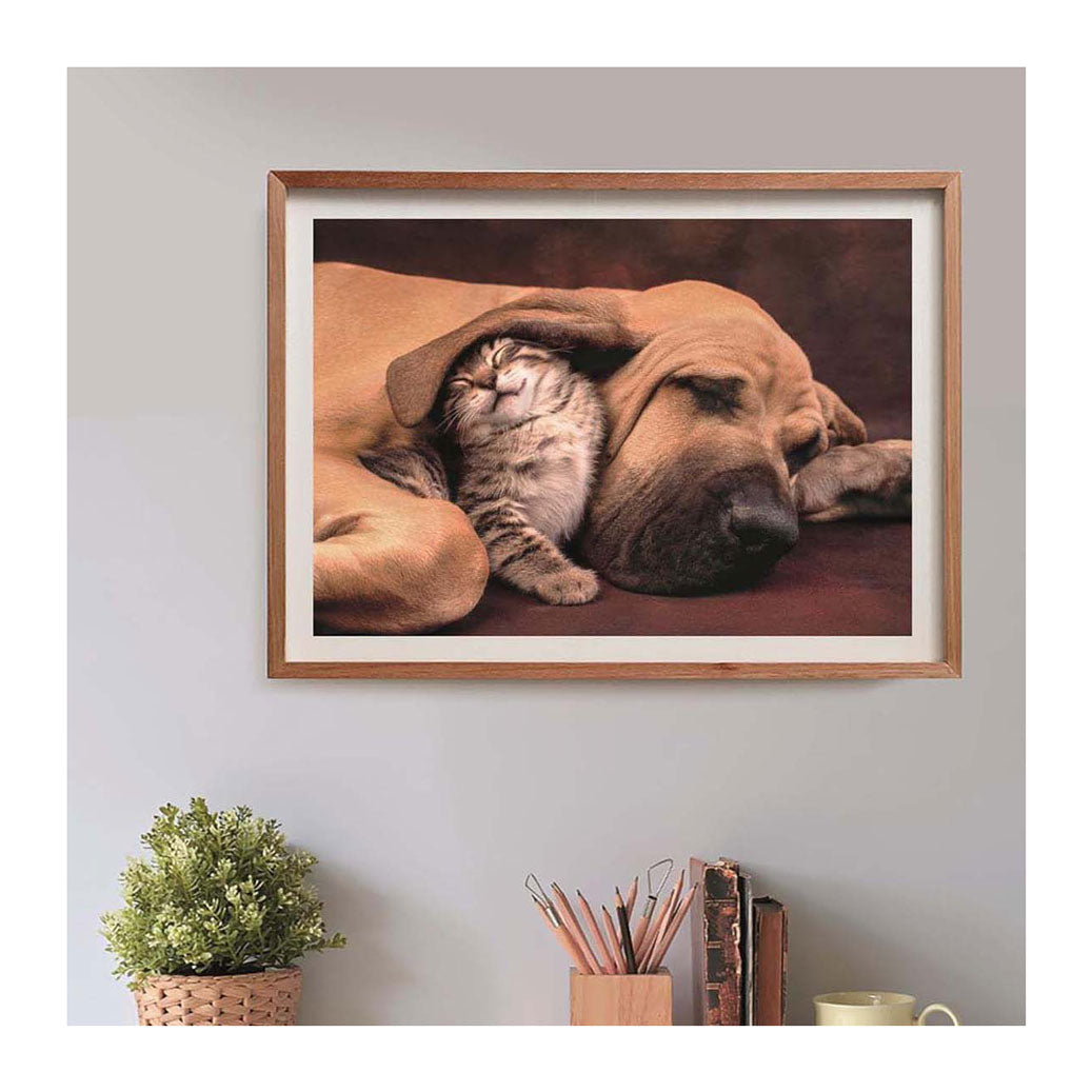 Clementoni Puzzle Hund und Katze, 500 Teile.