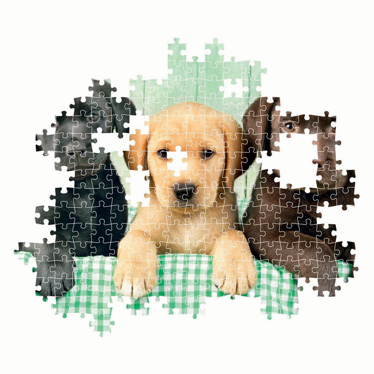 Clementoni puzzel 1000pcs labradors