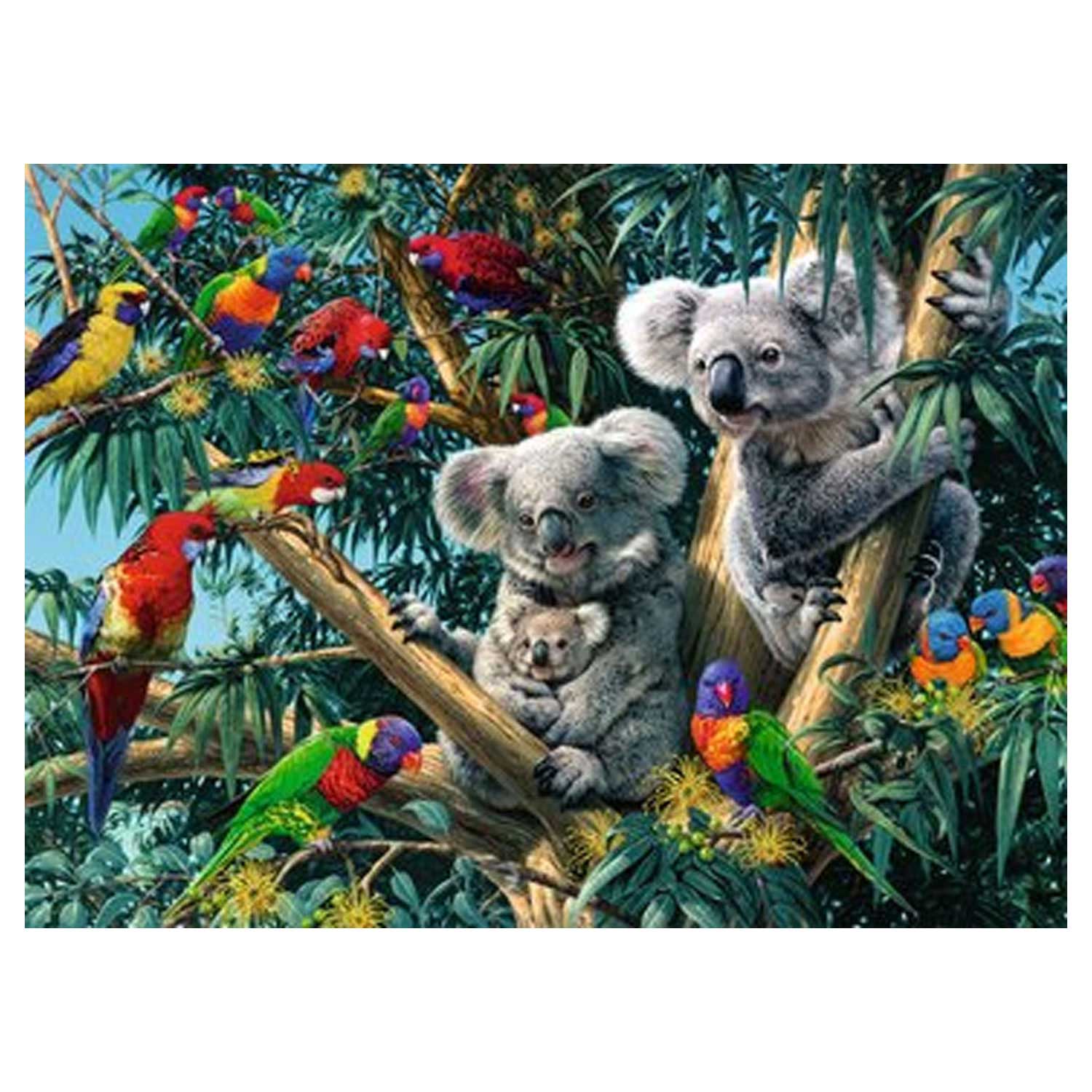 Ravensburger - Koalas im Baum 500St.