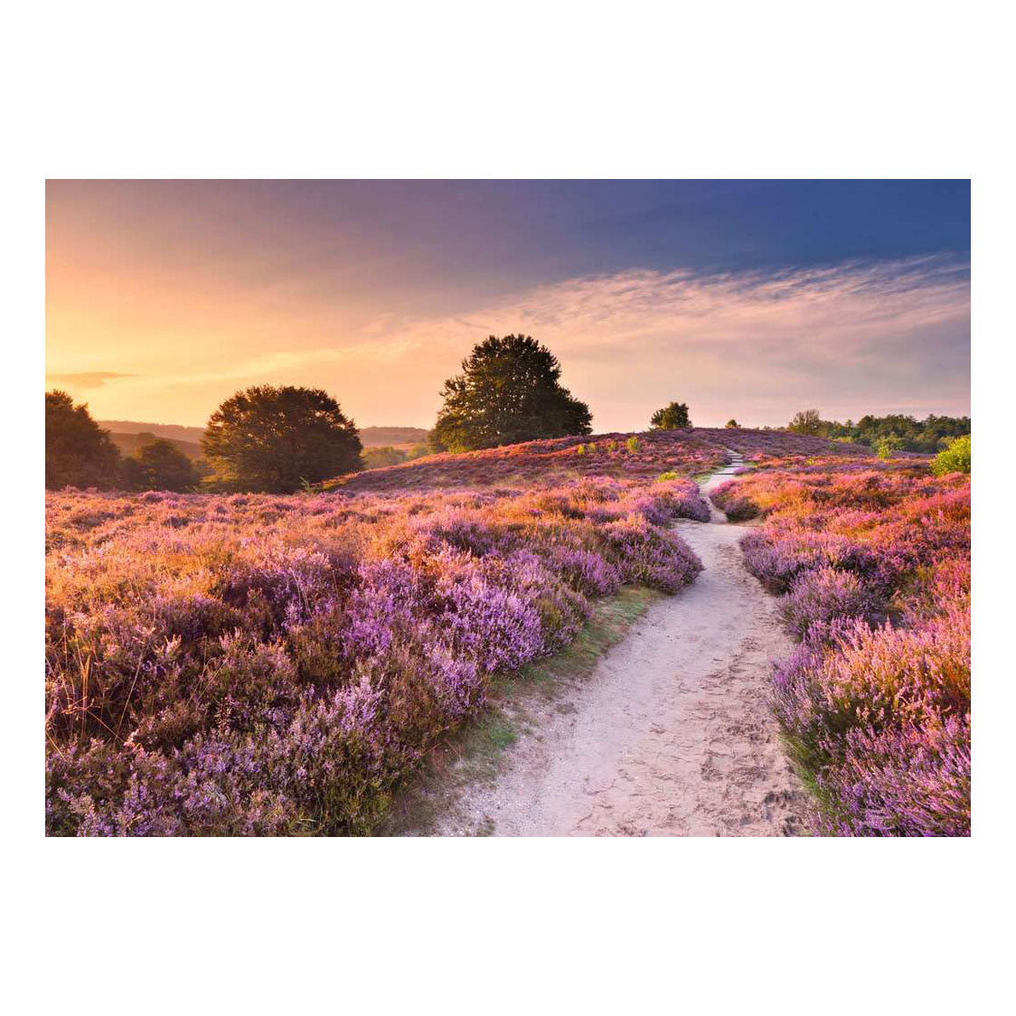 Ravensburger – legpuzzel – 1000 stukjes – 70 x 50 cm