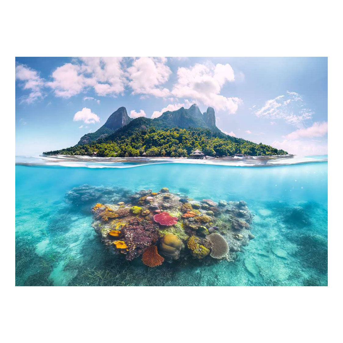 Ravensburger – eiland en koraalwereld – legpuzzel – 500 stukjes