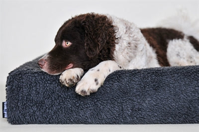 Bia Hundebett-Fleecebezug, grau
