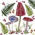Https: www.cchobby.nl servetten-afm-33x33-cm-20-stuk-1-doos-234749