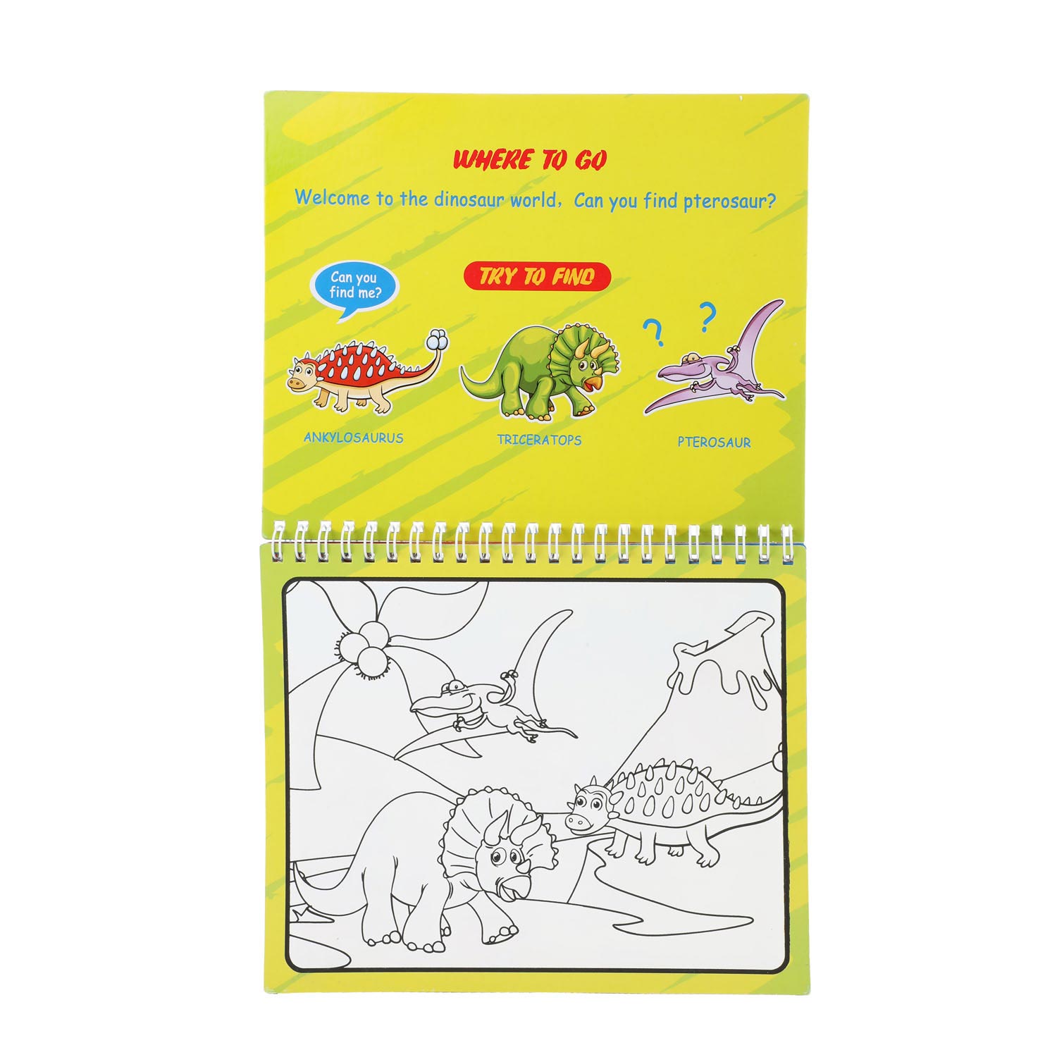 Toi-Toys Toi Toys Malen mit Wasser 'Dino'