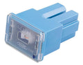 Dresselhaus pal-sicherung female (as) block fuse typas 20a female light blue