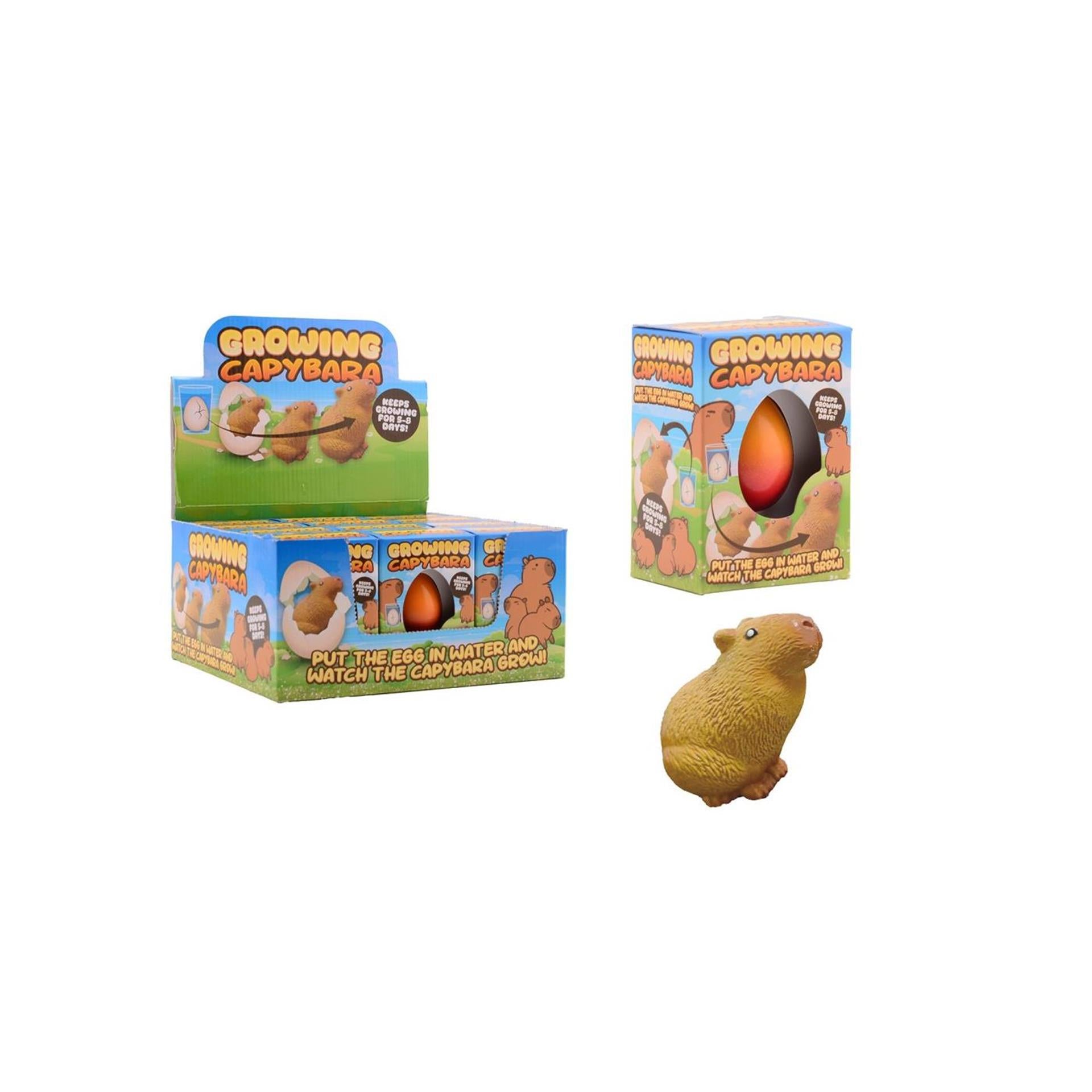Johntoy Züchtendes Capybara im Ei
