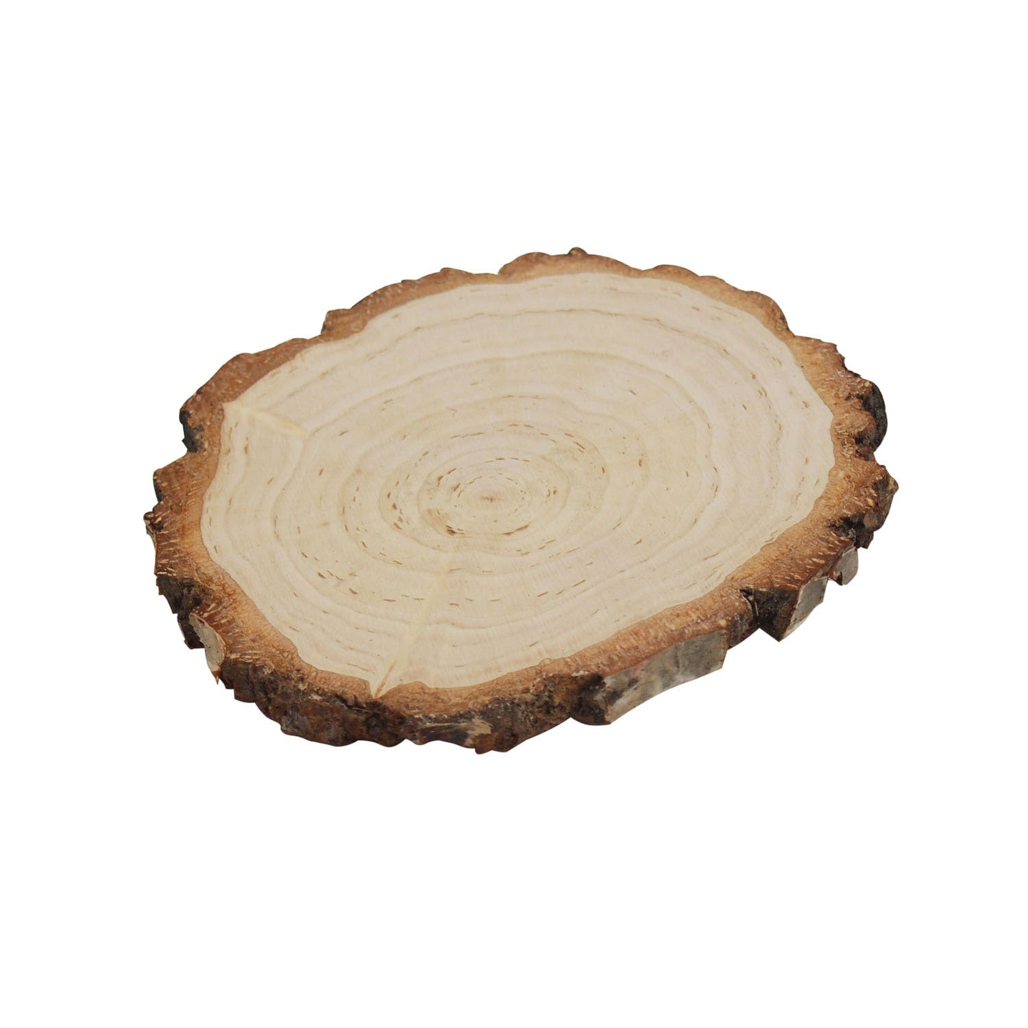 Sperrholz aus Birkenrinde, Ø 13-15 cm