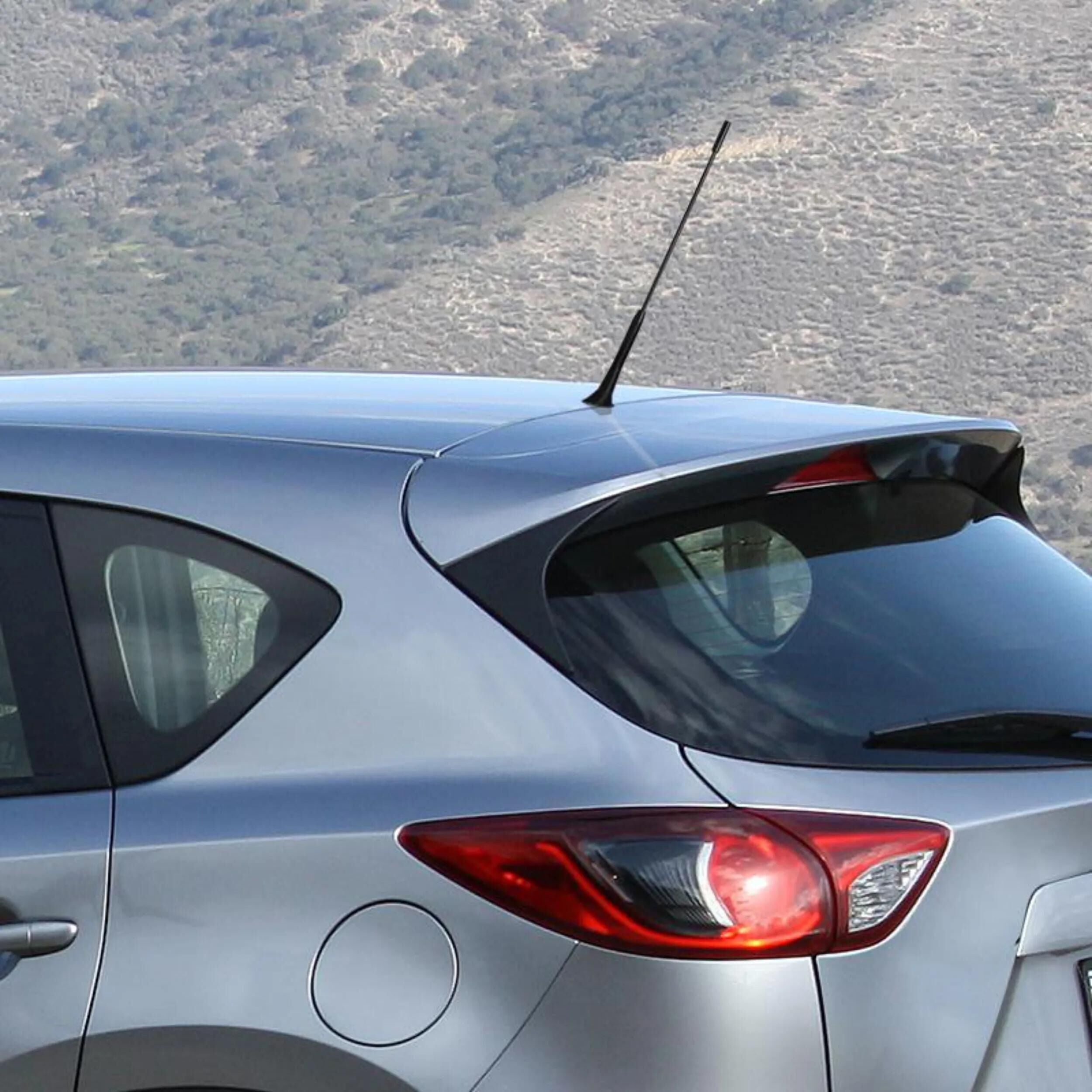 Autostyling seehase autoantenne antennas universal set autostyling