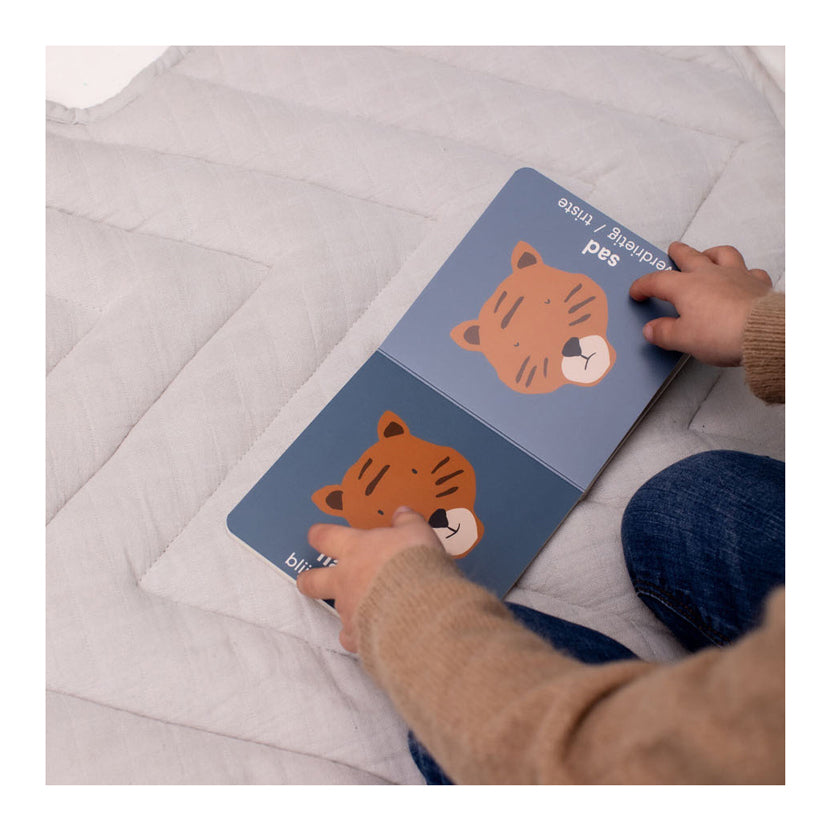 Trixie – Das Buch der Gegensätze