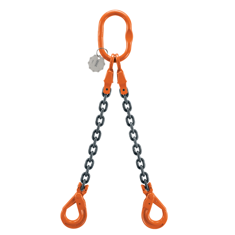 Rema tweesprong 3.5t 2.5t 8mm gr10 veiligheidshaak