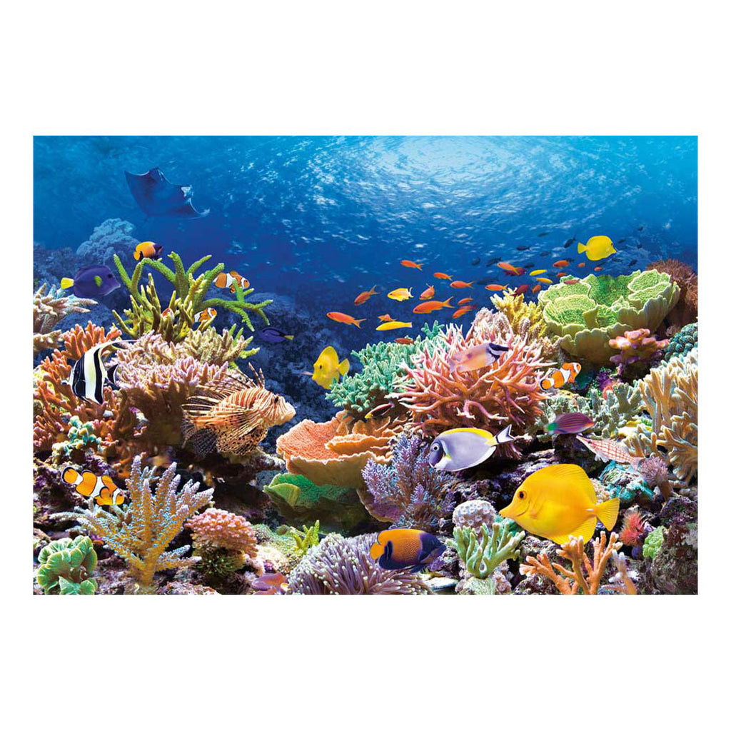 Selecta Castorland Puzzle Korallenriff Fische, 1000 Teile.
