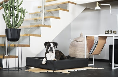 Bia Hundebettkorb, original schwarz