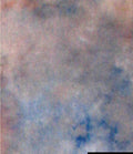 Falcon eyes achtergronddoek s122 2,9x7 m