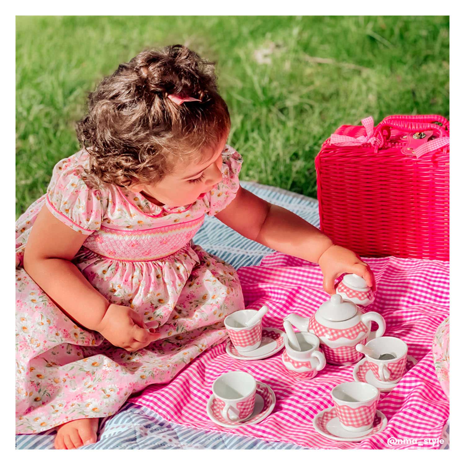 Tidlo picnickset in roze koffer