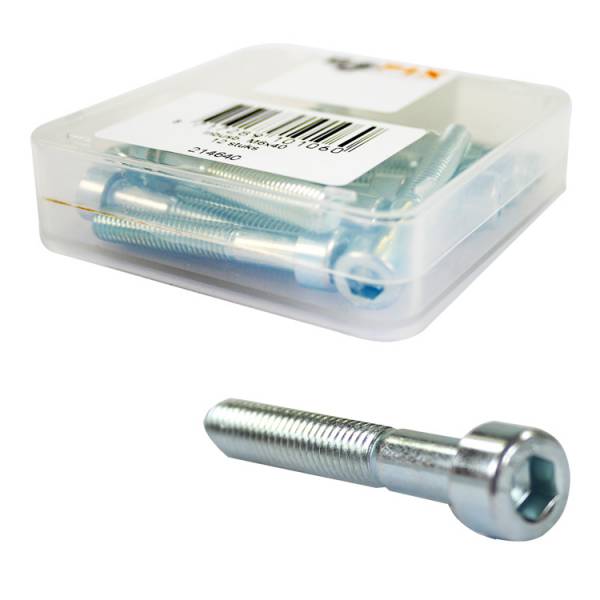 Bofix Innensechskantschraube M6x60 Edelstahl 12 Stück 214221