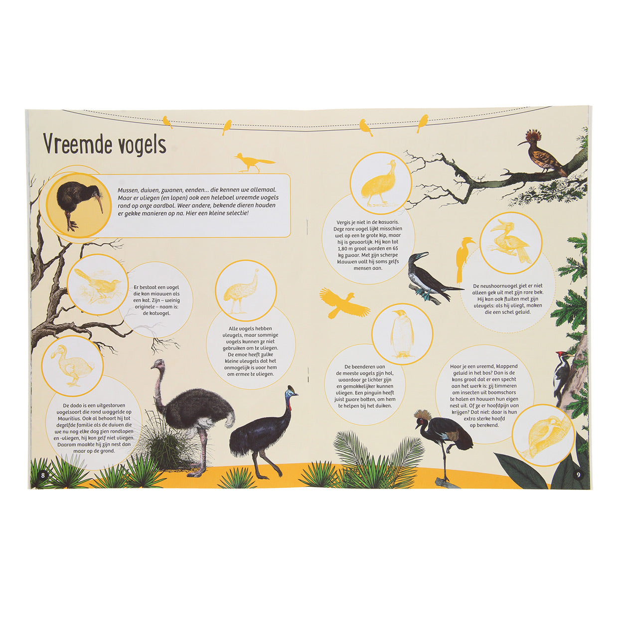 Vogels. 50 weetjes, 50 stickers.