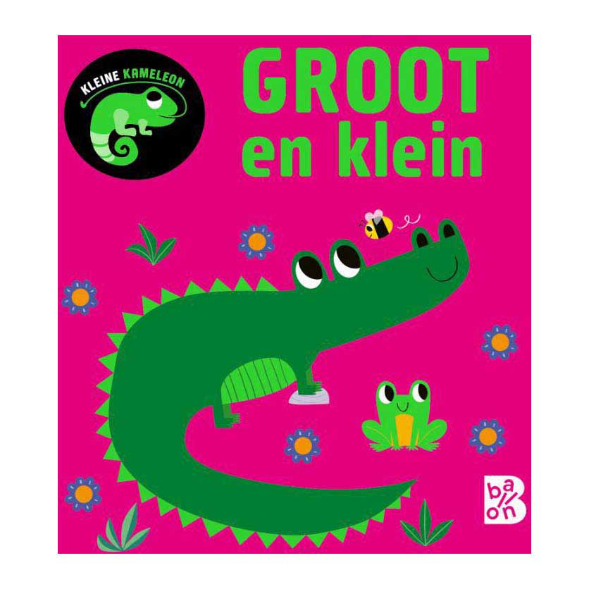 Standard Publisher Small Chameleon – Groß und Klein 12m+