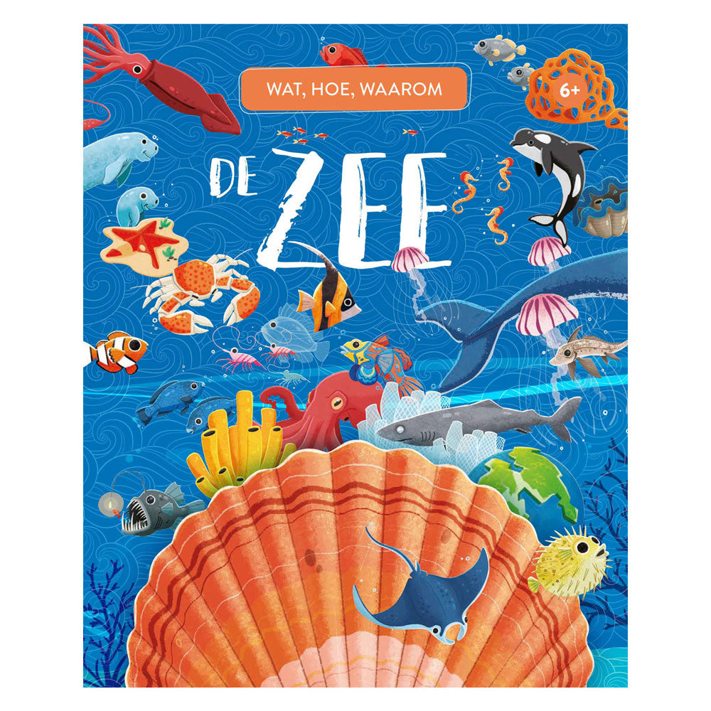 Rebo publishers de zee - wat, hoe en waarom