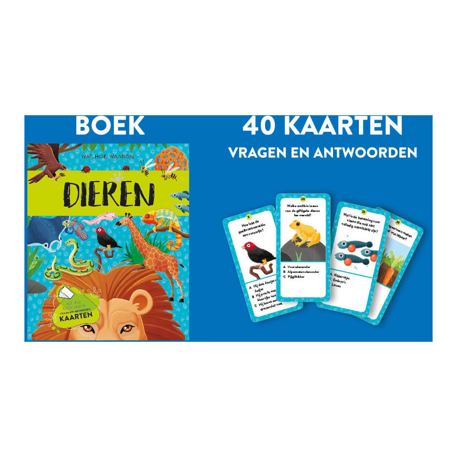 Rebo Publishers Tiere – Fakten- und Spielset