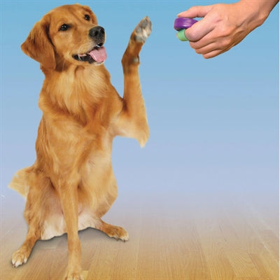 Clik-r Petsafe Clicker für das Training