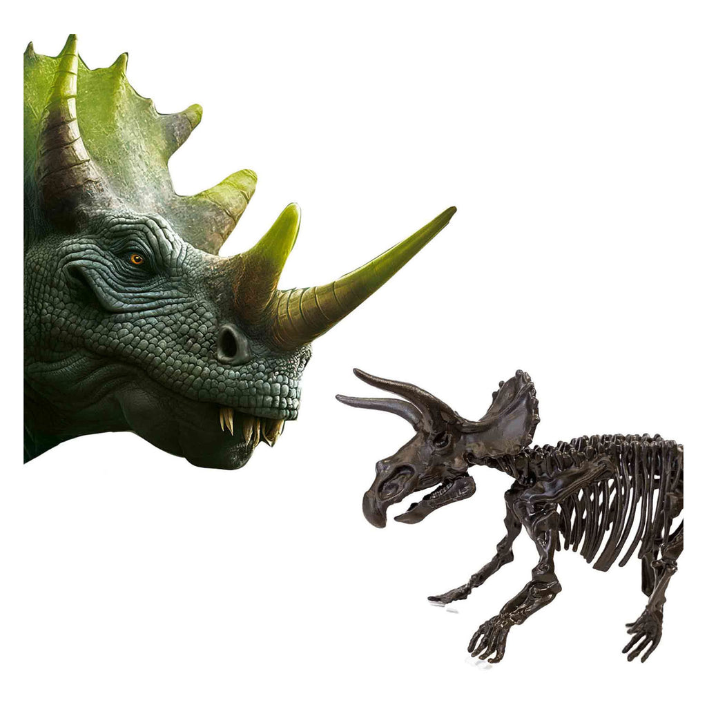 SES Explore Dinosaurier- und Skelettausgrabung 2-in-1 - Triceratops