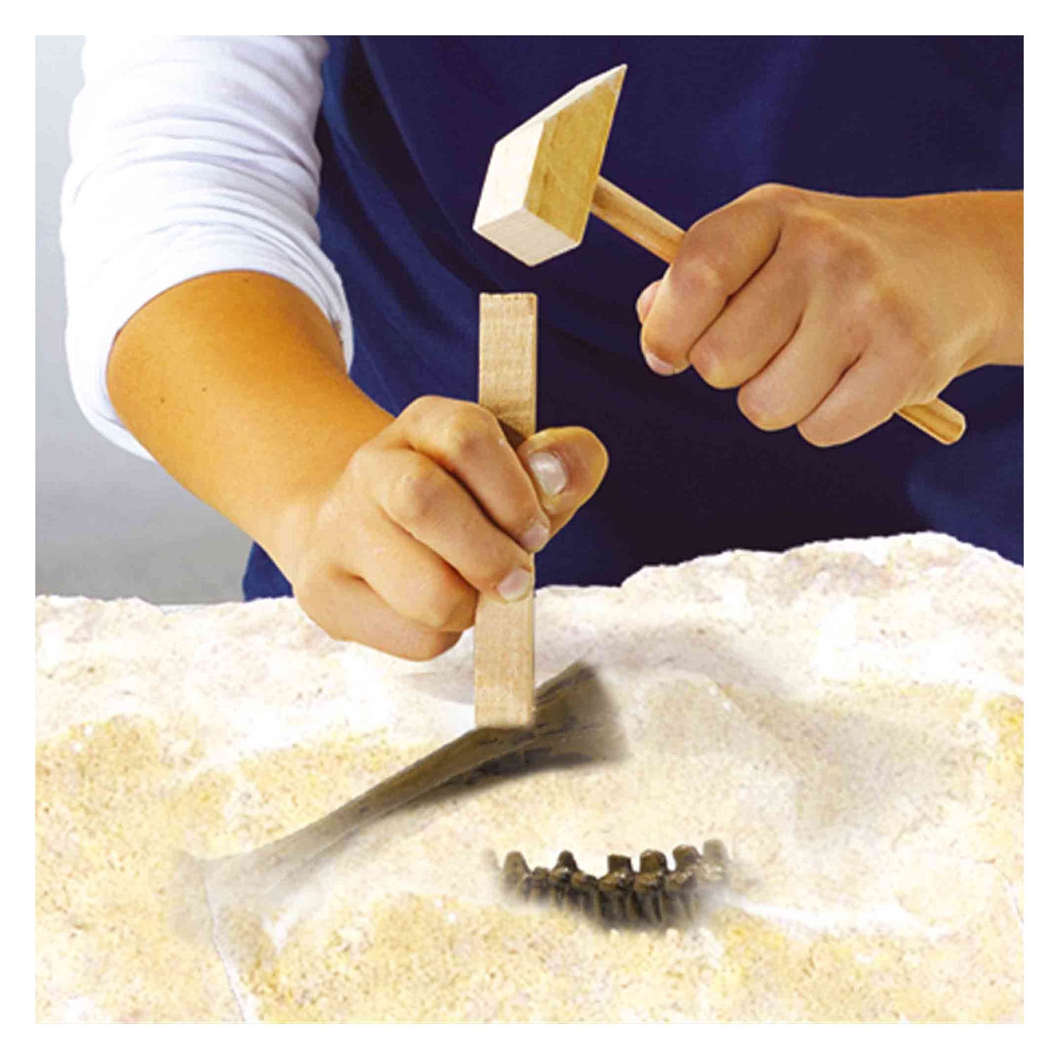 SES Explore Dinosaurier- und Skelettausgrabung 2-in-1 - Triceratops