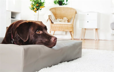 BIA -Bett Hundekorb Original Taupe