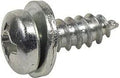 Dresselhaus nummernschildschraube no.-plate tapping screws 5.5 x 19 mm