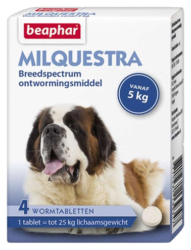 Beaphar milquestra Hund