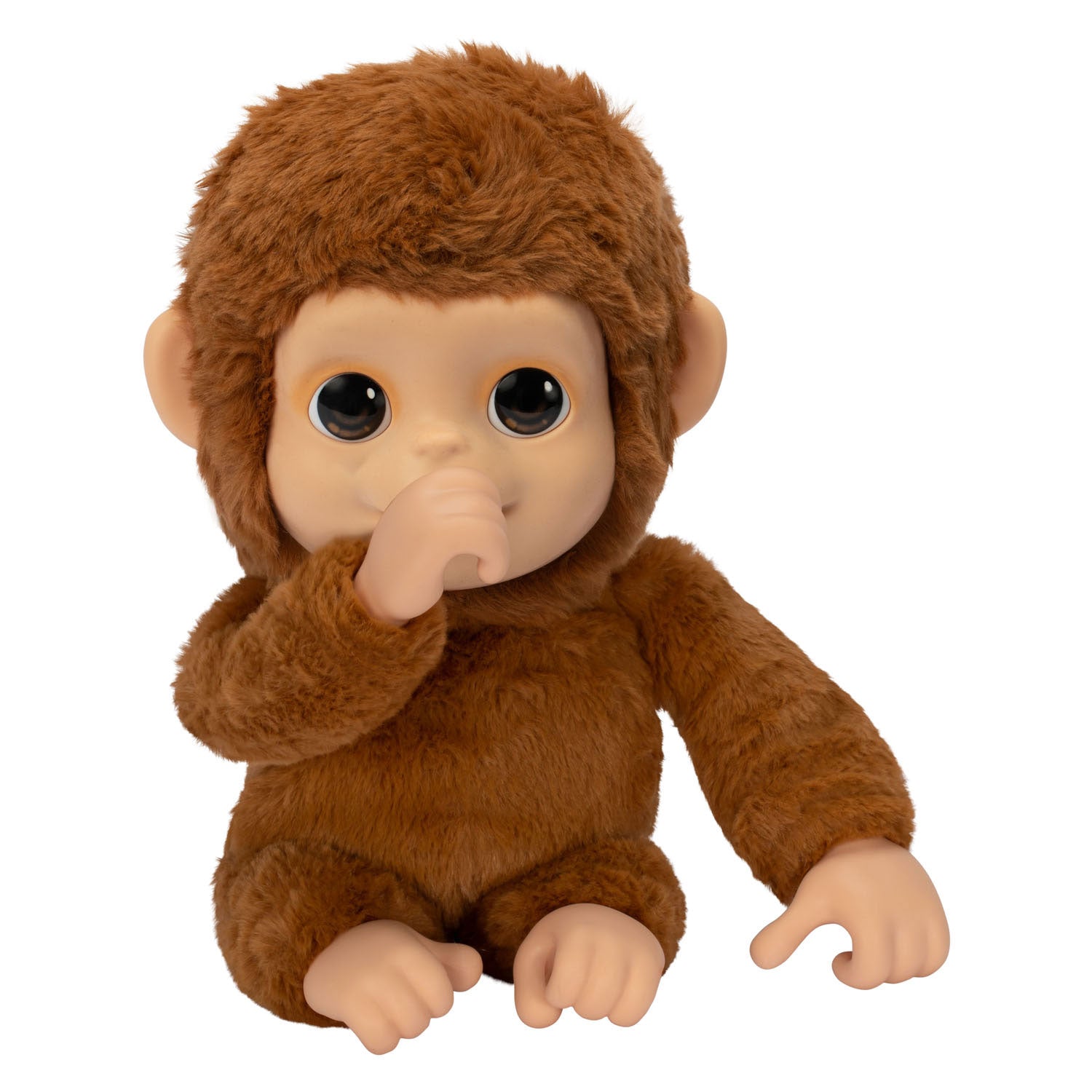 Little live pets mijn baby aap + geluid