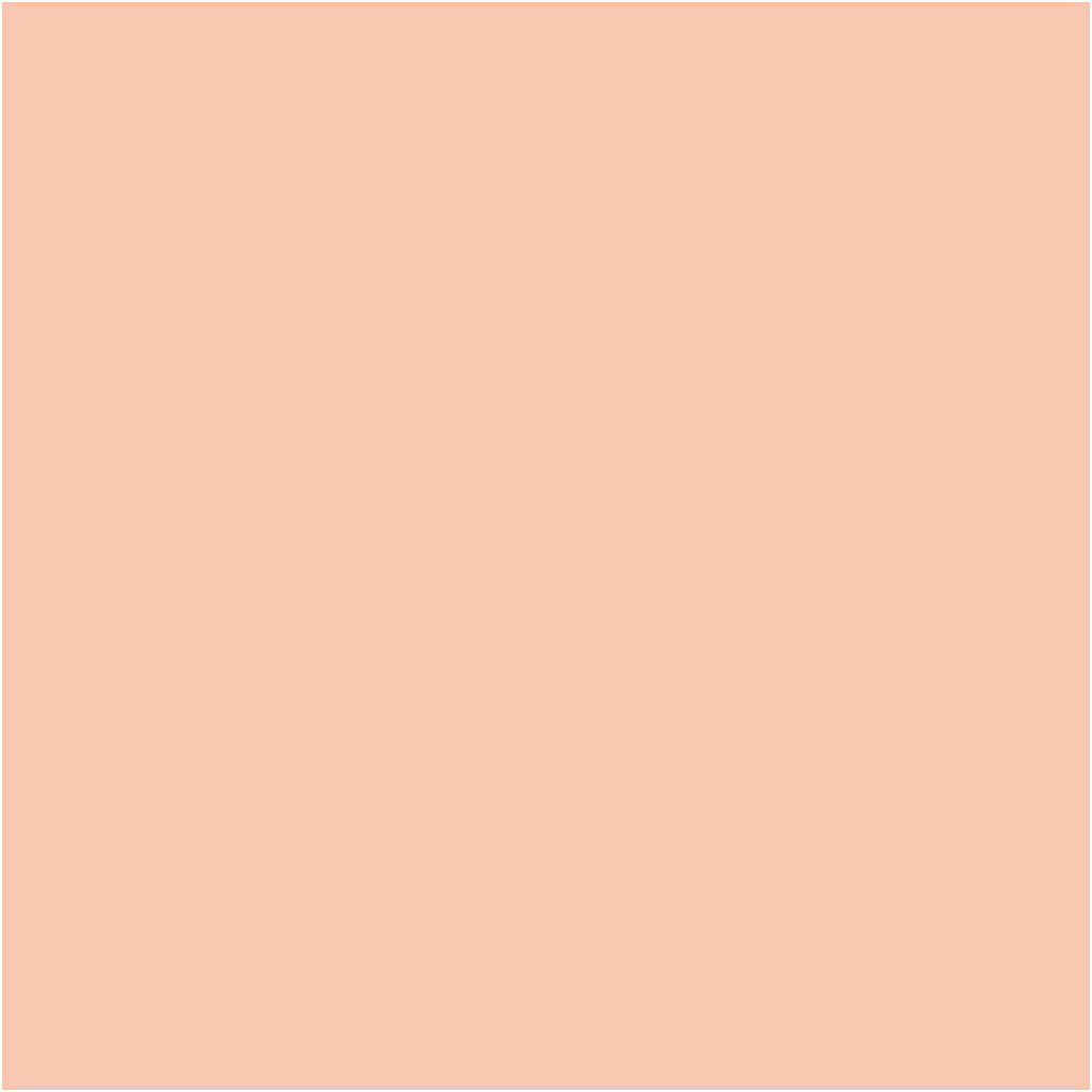 Bic http: www.cchobby.nl -visa-color-kleurstiften-lijndikte-3-mm-licht-beige-12-stuk-1-doos