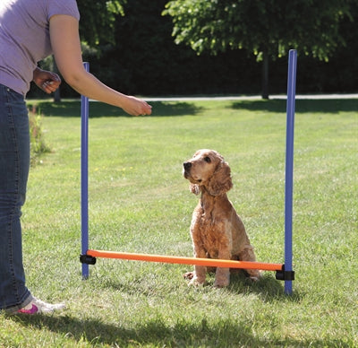 Trixie Hundeaktivität Agility Hürde blau orange