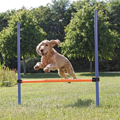 Trixie Hundeaktivität Agility Hürde blau orange