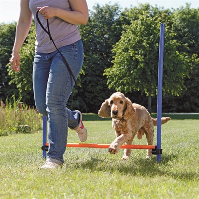 Trixie Hundeaktivität Agility Hürde blau orange