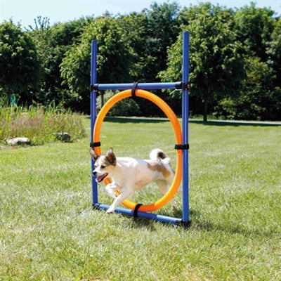 Trixie Hunde-Agility-Ring blau orange