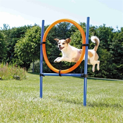 Trixie Hunde-Agility-Ring blau orange