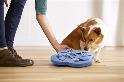 Nina Ottosson Hunde-Versteckspiel-Komposition